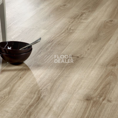 IVC Ultimo (Сlick) IVC Ultimo 24219N фото 4 | FLOORDEALER